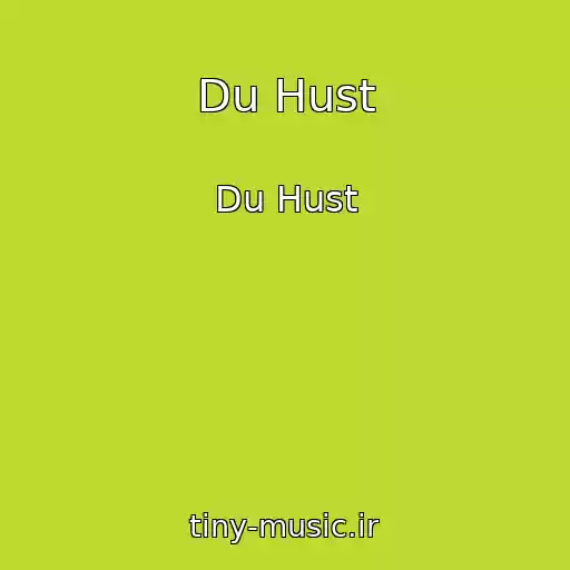 کاور آهنگ Du Hust از Du Hust