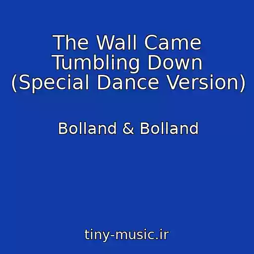 کاور آهنگ The Wall Came Tumbling Down (Special Dance Version) از Bolland & Bolland