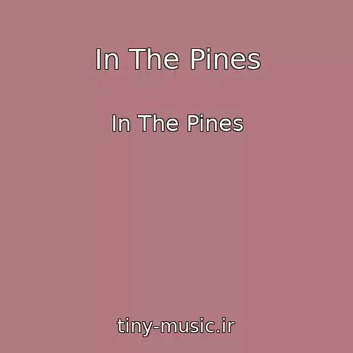 کاور آهنگ In The Pines از In The Pines