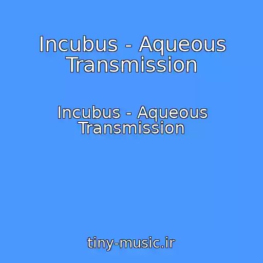 کاور آهنگ Incubus - Aqueous Transmission از Incubus - Aqueous Transmission