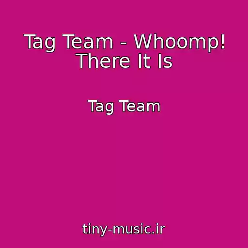 کاور آهنگ Tag Team - Whoomp! There It Is از Tag Team
