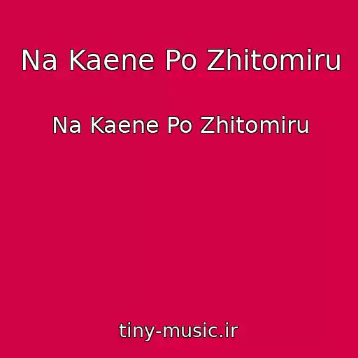 کاور آهنگ Na Kaene Po Zhitomiru از Na Kaene Po Zhitomiru
