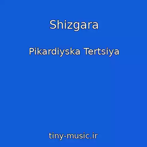 کاور آهنگ Shizgara از Pіkardіyska Tertsіya