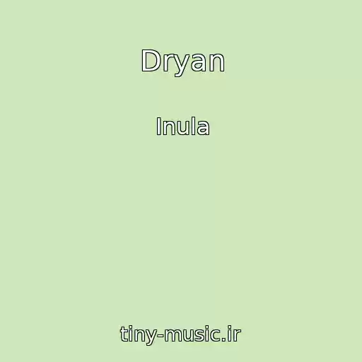 کاور آهنگ Dryan از Іnula