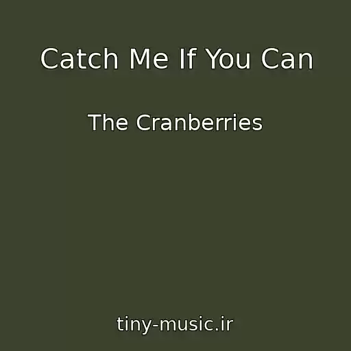 کاور آهنگ Catch Me If You Can از The Cranberries