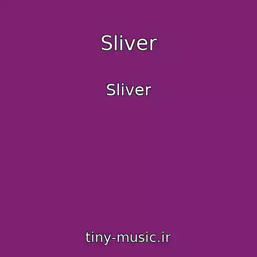 کاور آهنگ Sliver از Sliver