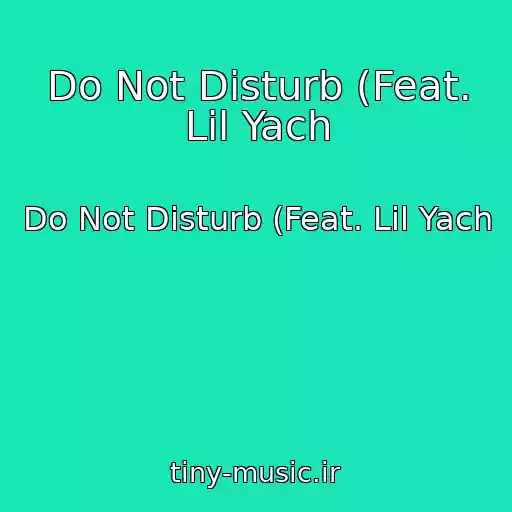 کاور آهنگ Do Not Disturb (Feat. Lil Yach از Do Not Disturb (Feat. Lil Yach