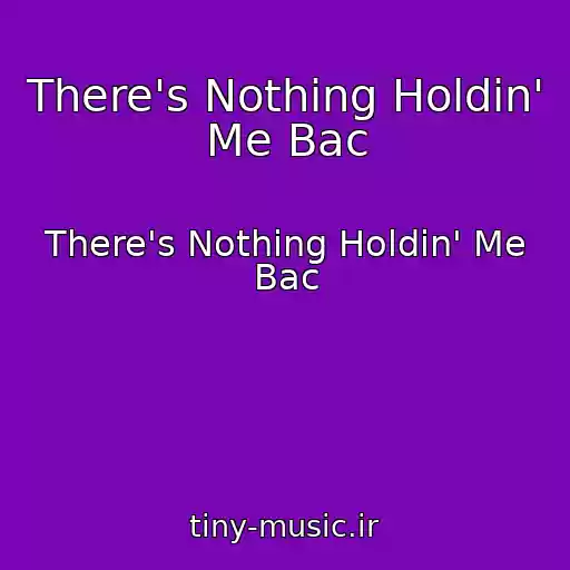 کاور آهنگ There's Nothing Holdin' Me Bac از There's Nothing Holdin' Me Bac
