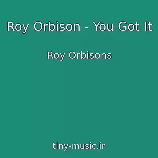 کاور آهنگ Roy Orbison - You Got It از Roy Orbisons