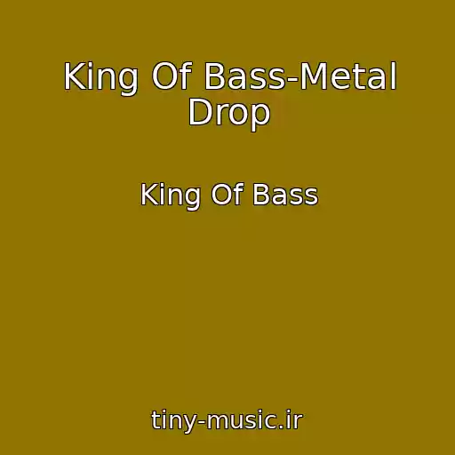 کاور آهنگ King Of Bass-Metal Drop از King Of Bass