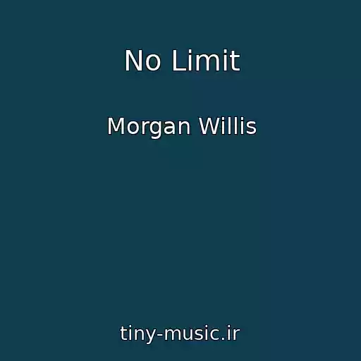 کاور آهنگ No Limit از Morgan Willis