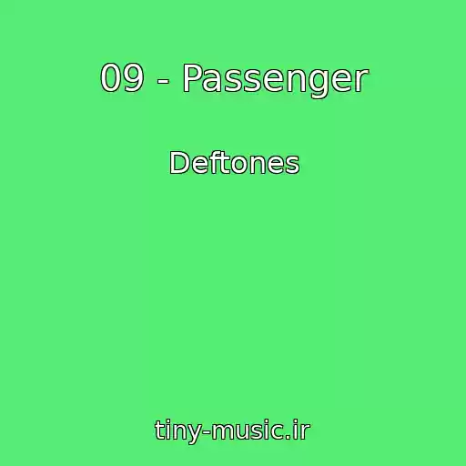 کاور آهنگ 09 - Passenger از Deftones