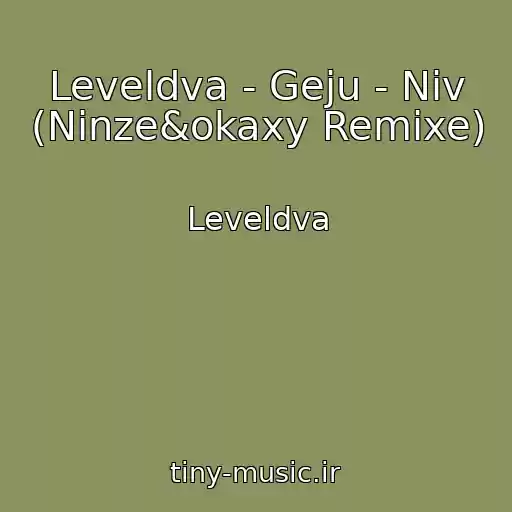 کاور آهنگ Leveldva - Geju - Niv (Ninze&okaxy Remixe) از Leveldva