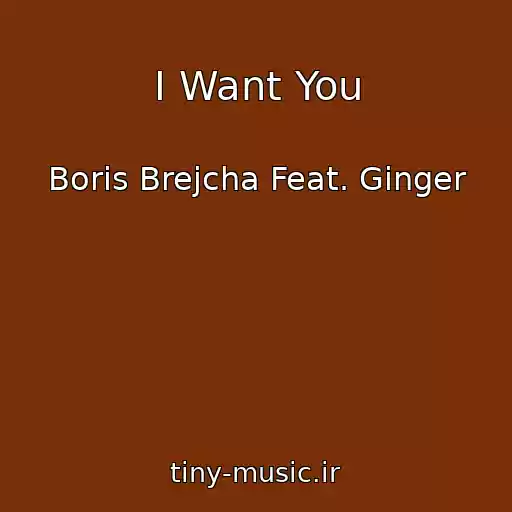 کاور آهنگ I Want You از Boris Brejcha Feat. Ginger