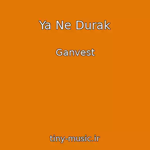 کاور آهنگ Ya Ne Durak از Ganvest