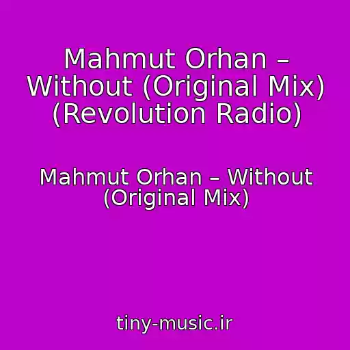 کاور آهنگ Mahmut Orhan – Without (Original Mix) (Revolution Radio) از Mahmut Orhan – Without (Original Mix)