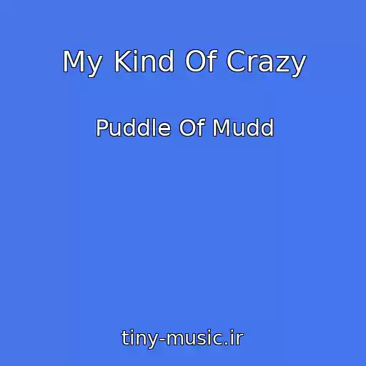 کاور آهنگ My Kind Of Crazy از Puddle Of Mudd