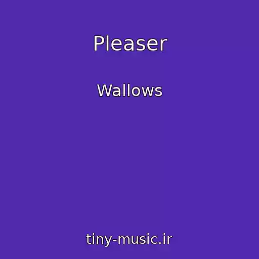 کاور آهنگ Pleaser از Wallows