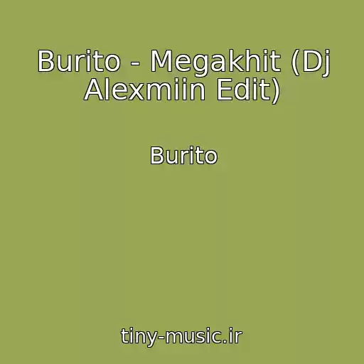 کاور آهنگ Burito - Megakhit (Dj Alexmiin Edit) از Burito