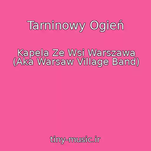 کاور آهنگ Tarninowy Ogień از Kapela Ze Wsi Warszawa (Aka Warsaw Village Band)