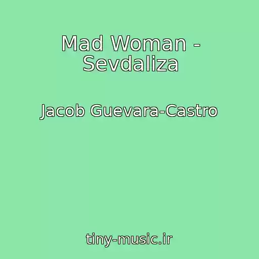 کاور آهنگ Mad Woman - Sevdaliza از Jacob Guevara-Castro