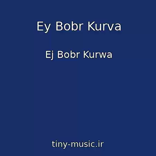 کاور آهنگ Ey Bobr Kurva از Ej Bobr Kurwa