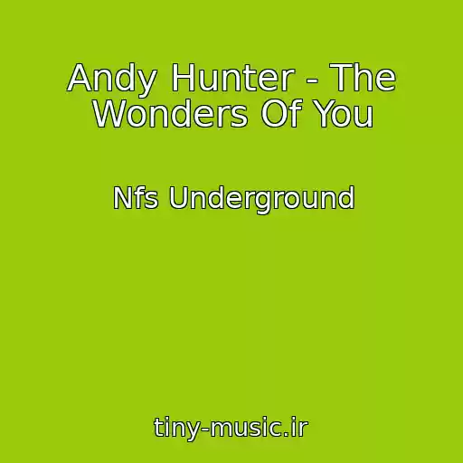 کاور آهنگ Andy Hunter - The Wonders Of You از Nfs Underground