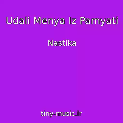 کاور آهنگ Udali Menya Iz Pamyati از Nastika