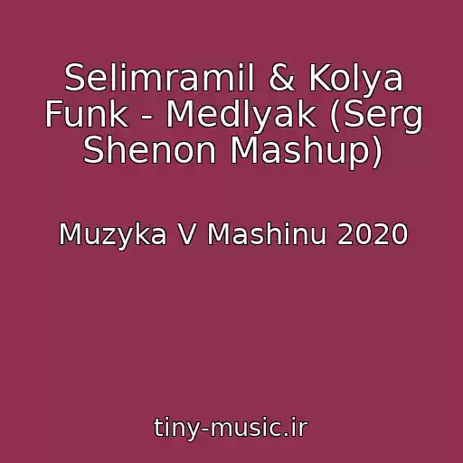 کاور آهنگ Selimramil & Kolya Funk - Medlyak (Serg Shenon Mashup) از Muzyka V Mashinu 2020