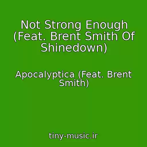 کاور آهنگ Not Strong Enough (Feat. Brent Smith Of Shinedown) از Apocalyptica (Feat. Brent Smith)