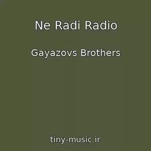 کاور آهنگ Ne Radi Radio از Gayazovs Brothers