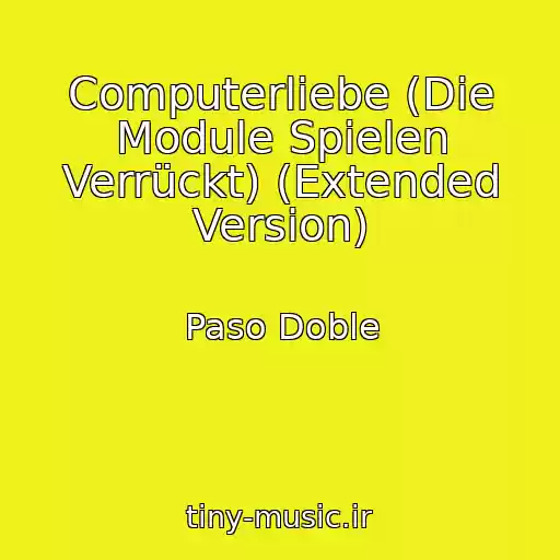 کاور آهنگ Computerliebe (Die Module Spielen Verrückt) (Extended Version) از Paso Doble