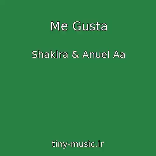 کاور آهنگ Me Gusta از Shakira & Anuel Aa