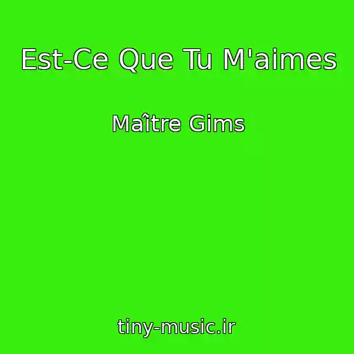 کاور آهنگ Est-Ce Que Tu M'aimes از Maître Gims