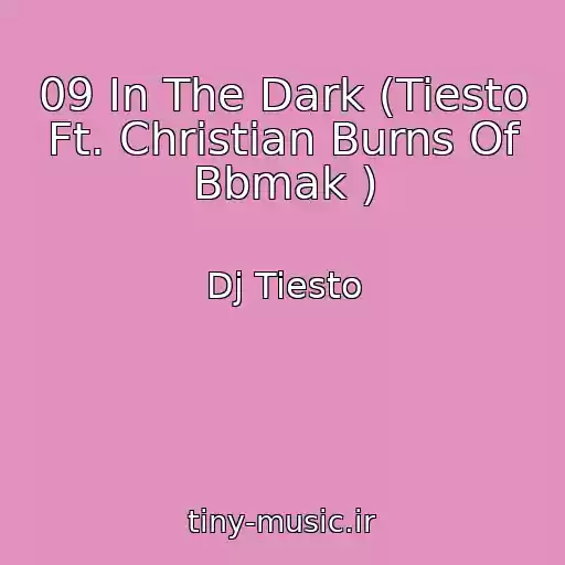 کاور آهنگ 09 In The Dark (Tiesto Ft. Christian Burns Of Bbmak ) از Dj Tiesto