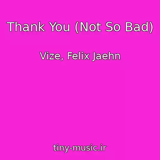 کاور آهنگ Thank You (Not So Bad) از Vize, Felix Jaehn