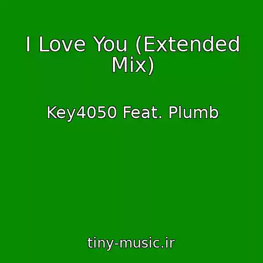 کاور آهنگ I Love You (Extended Mix) از Key4050 Feat. Plumb
