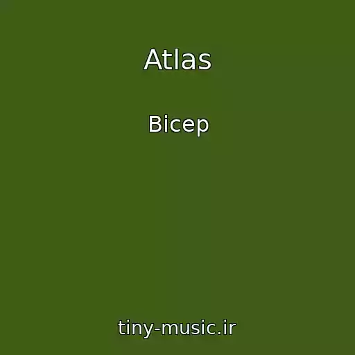 کاور آهنگ Atlas از Bicep