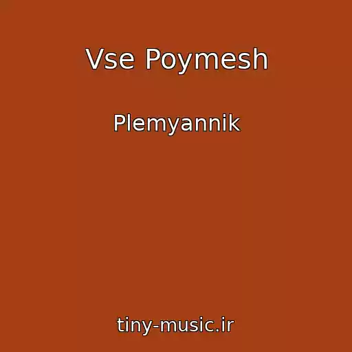 کاور آهنگ Vse Poymesh از Plemyannik