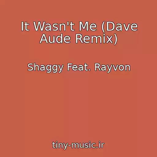 کاور آهنگ It Wasn't Me (Dave Aude Remix) از Shaggy Feat. Rayvon