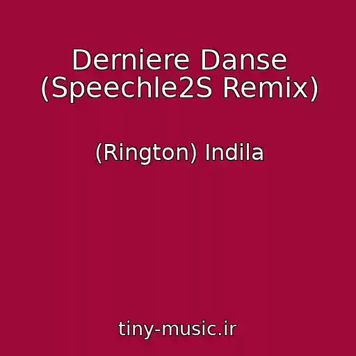 کاور آهنگ Derniere Danse (Speechle2S Remix) از (Rington) Indila