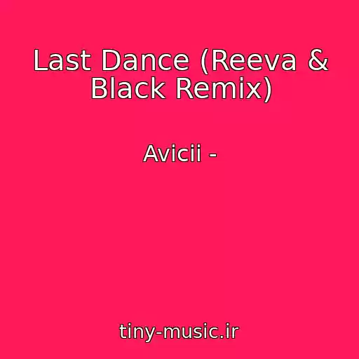 کاور آهنگ Last Dance (Reeva & Black Remix) از Avicii -