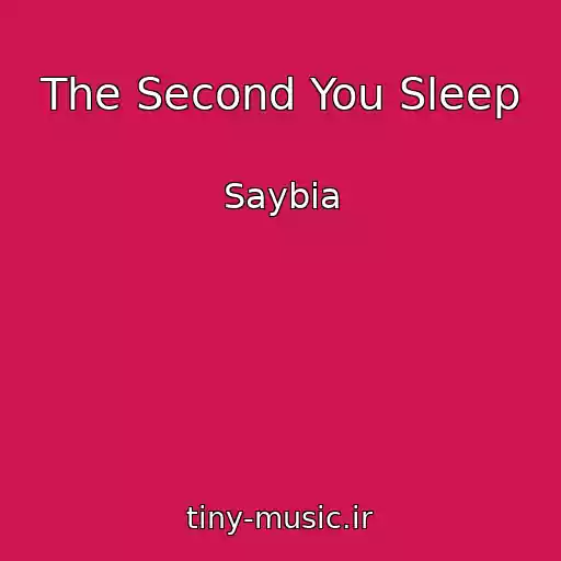 کاور آهنگ The Second You Sleep از Saybia