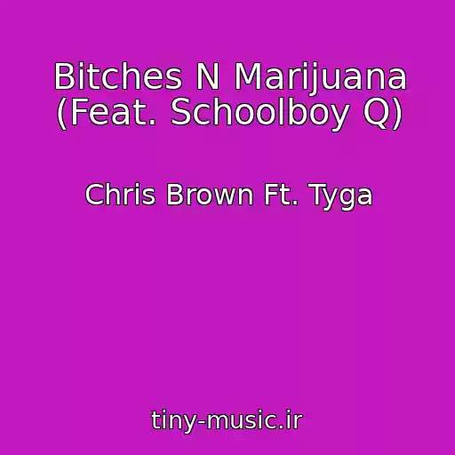 کاور آهنگ Bitches N Marijuana (Feat. Schoolboy Q) از Chris Brown Ft. Tyga