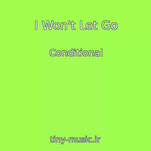 کاور آهنگ I Won't Let Go از Conditional