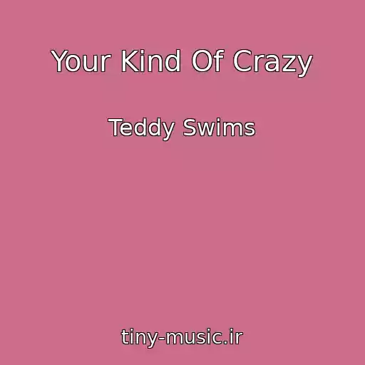 کاور آهنگ Your Kind Of Crazy از Teddy Swims