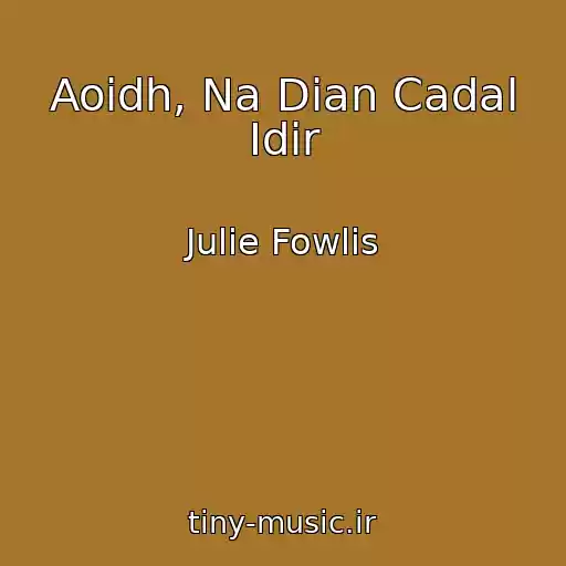 کاور آهنگ Aoidh, Na Dian Cadal Idir از Julie Fowlis