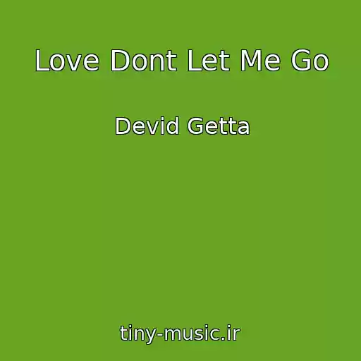 کاور آهنگ Love Dont Let Me Go از Devid Getta
