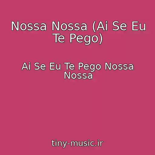کاور آهنگ Nossa Nossa (Ai Se Eu Te Pego) از Ai Se Eu Te Pego Nossa Nossa