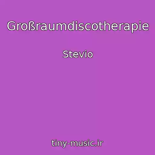 کاور آهنگ Großraumdiscotherapie از Stevio